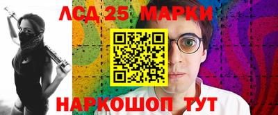 индика Нальчик