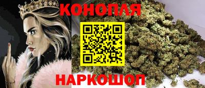 индика Нальчик