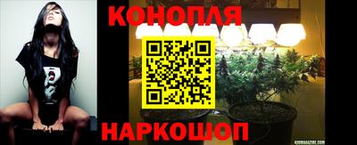 индика Нальчик