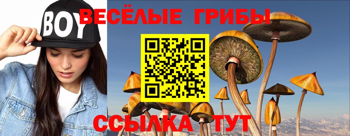 Псилоцибиновые грибы MAGIC MUSHROOMS Белово