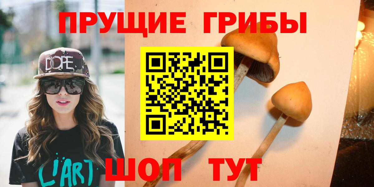 Белово  купить наркоту  Вход с VPN  Галлюциногенные грибы Psilocybe 